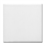 12 carreaux de carrelages blancs sublimables 20 x 20cm