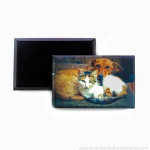 100 Magnets Métal Rectangulaires