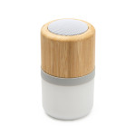 HAUT-PARLEURS BLUETOOTH OZCAN