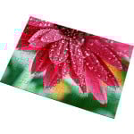 Puzzle en bois sublimable 96 pièces