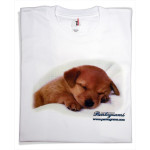 Classic+ Universal T.clair Impr Sans Huile