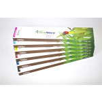 Cartouche Eco-Solvant EcoNova pour Mutoh