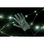Flex Holographique Siser