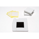 Silhouette MINT
