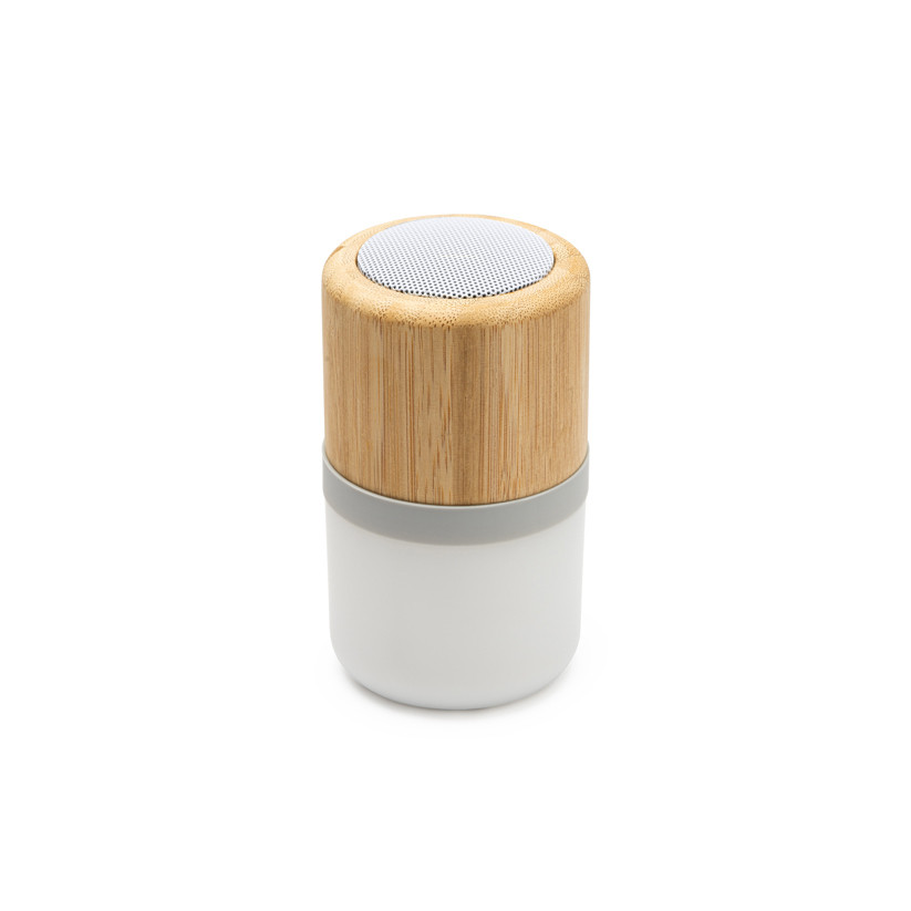 HAUT-PARLEURS BLUETOOTH OZCAN