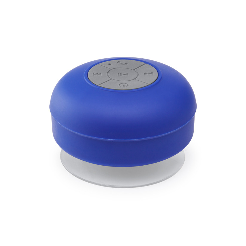 HAUT-PARLEURS BLUETOOTH CALVIN