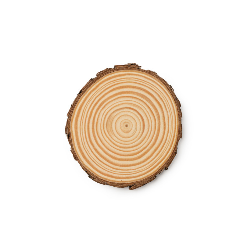 SERVICE DE 4 SOUS-VERRES PINEA