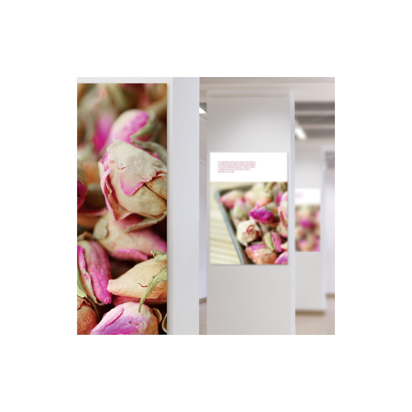 papier Photo Blanc Brillant 260 g/m²