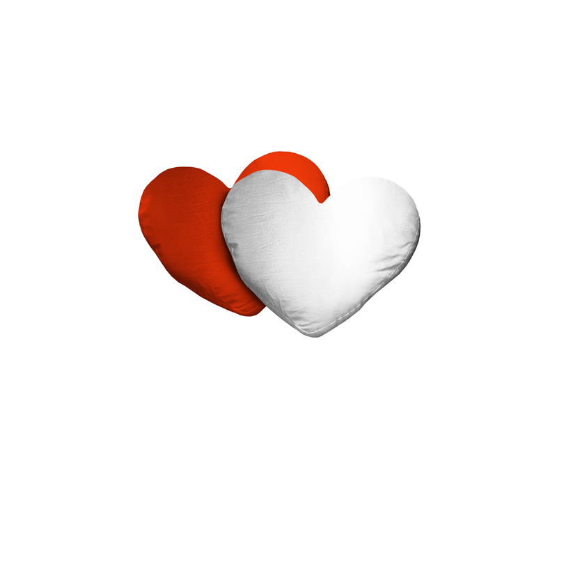 5 Housses pour coussins Coeur
