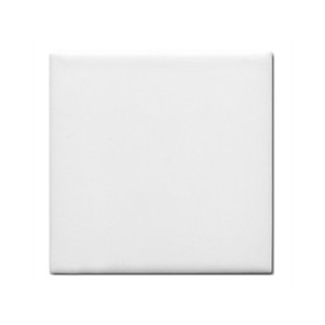 12 carreaux de carrelages blancs sublimables 20 x 20cm