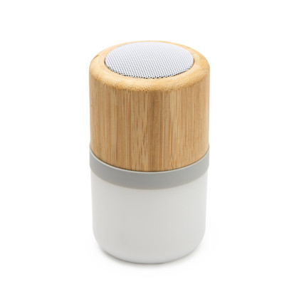 1 HAUT-PARLEURS BLUETOOTH OZCAN