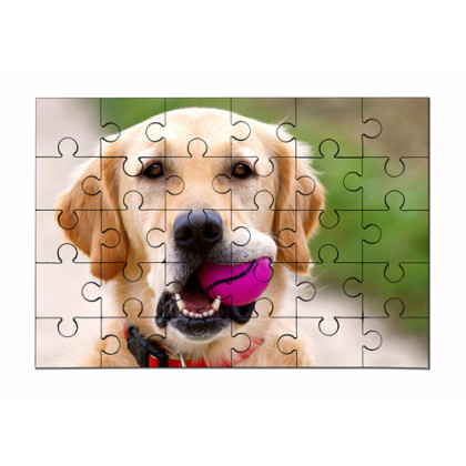 1 Puzzle en Bois format 17 X 25cm 60 pièces