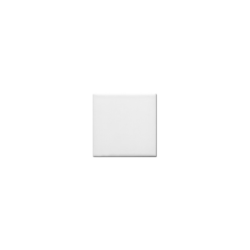 12 carreaux de carrelages blancs sublimables 