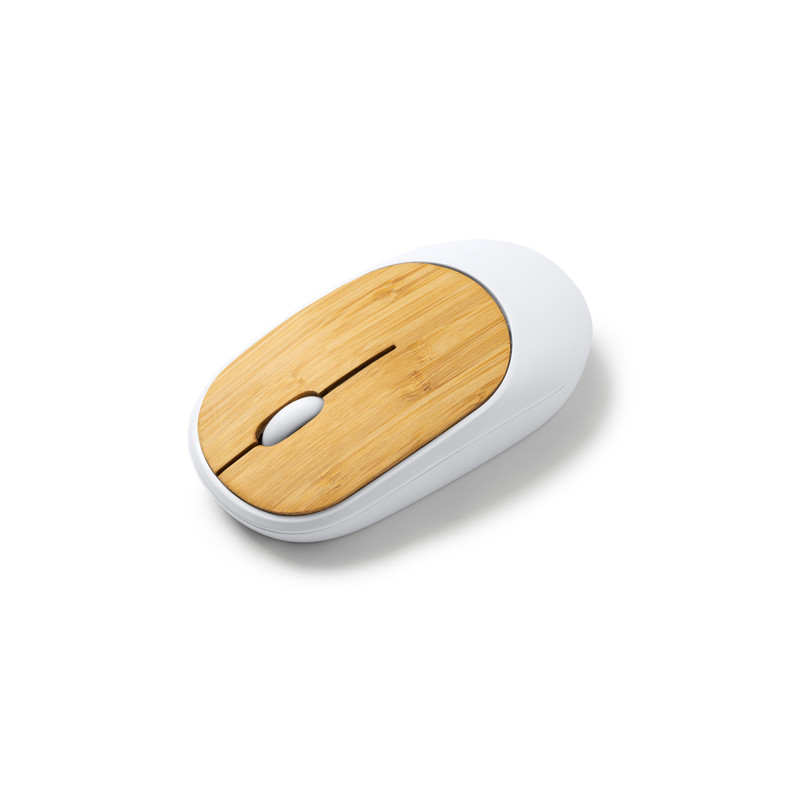 SOURIS REMY