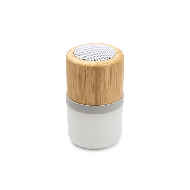 HAUT-PARLEURS BLUETOOTH OZCAN