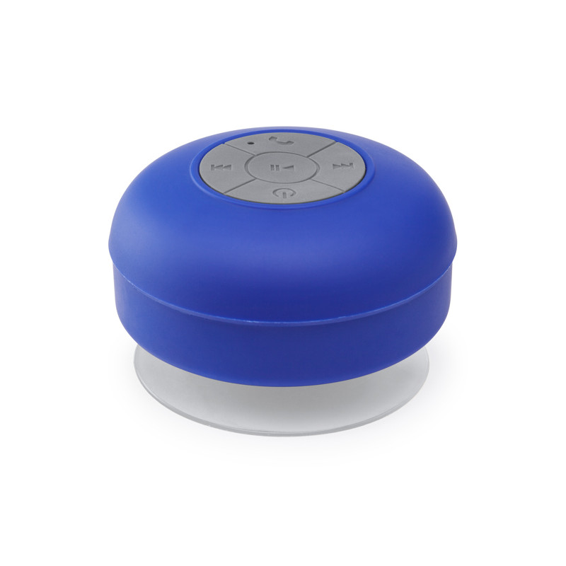 HAUT-PARLEURS BLUETOOTH CALVIN