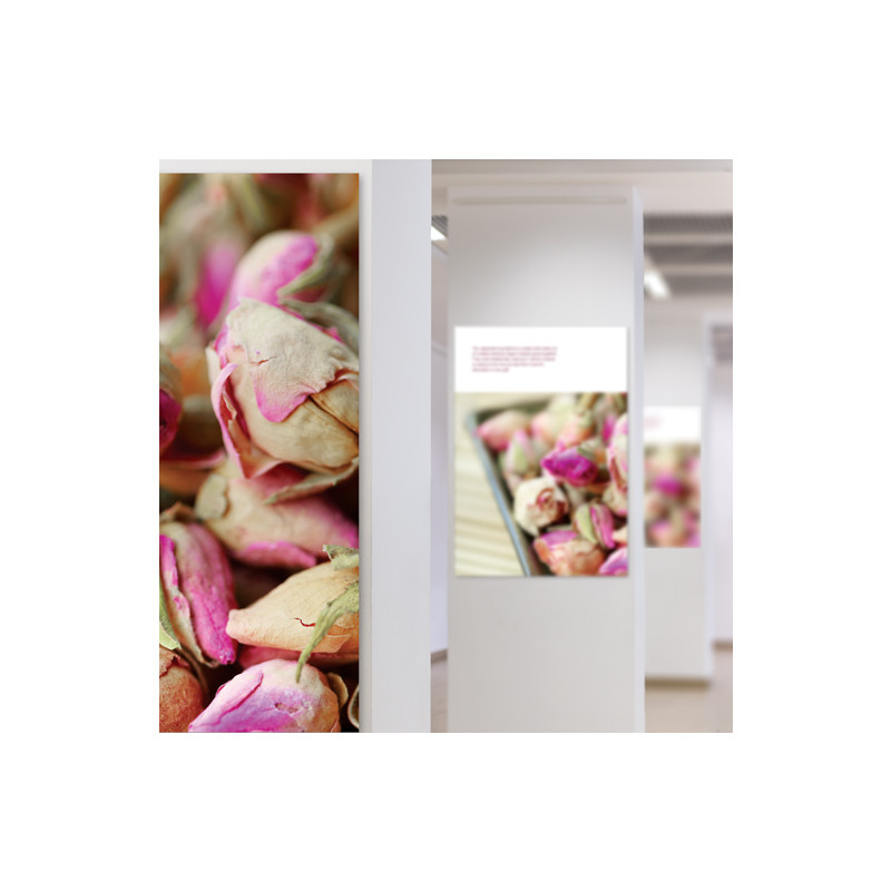 papier Photo Blanc Brillant 260 g/m²