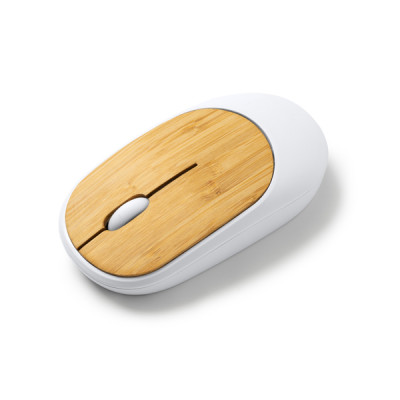 1 SOURIS REMY