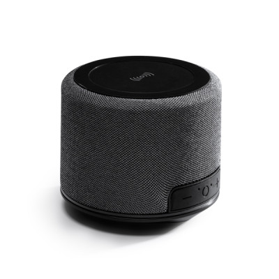 1 HAUT-PARLEURS BLUETOOTH TENOR