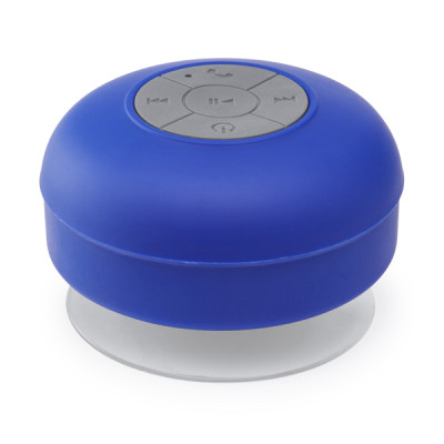 1 HAUT-PARLEURS BLUETOOTH CALVIN
