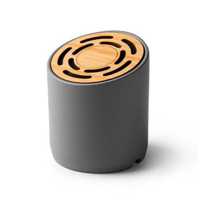 1 HAUT-PARLEURS BLUETOOTH STEVE