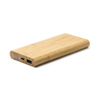 1 BATTERIE EXTERNE MISTY