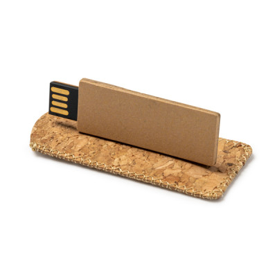 1 CLÉ USB LEDES