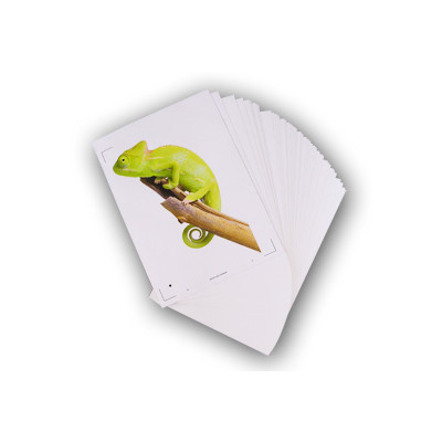 50 feuilles A4 adhésive de papier blanc pour imprimante jet d'encre
