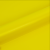 JAUNE_CANARI